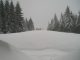 Bilder aus dem M�rz 2006