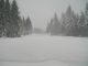 Bilder aus dem M�rz 2006