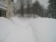 Bilder aus dem M�rz 2006