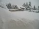 Bilder aus dem M�rz 2006