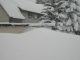 Bilder aus dem M�rz 2006