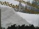 Bilder aus dem M�rz 2006