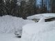 Bilder aus dem M�rz 2006