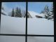 Bilder aus dem M�rz 2006