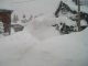 Bilder aus dem März 2011