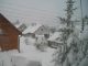 Bilder aus dem März 2011