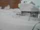 Bilder aus dem März 2011