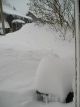 Bilder aus dem März 2011