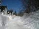 Bilder aus dem März 2011